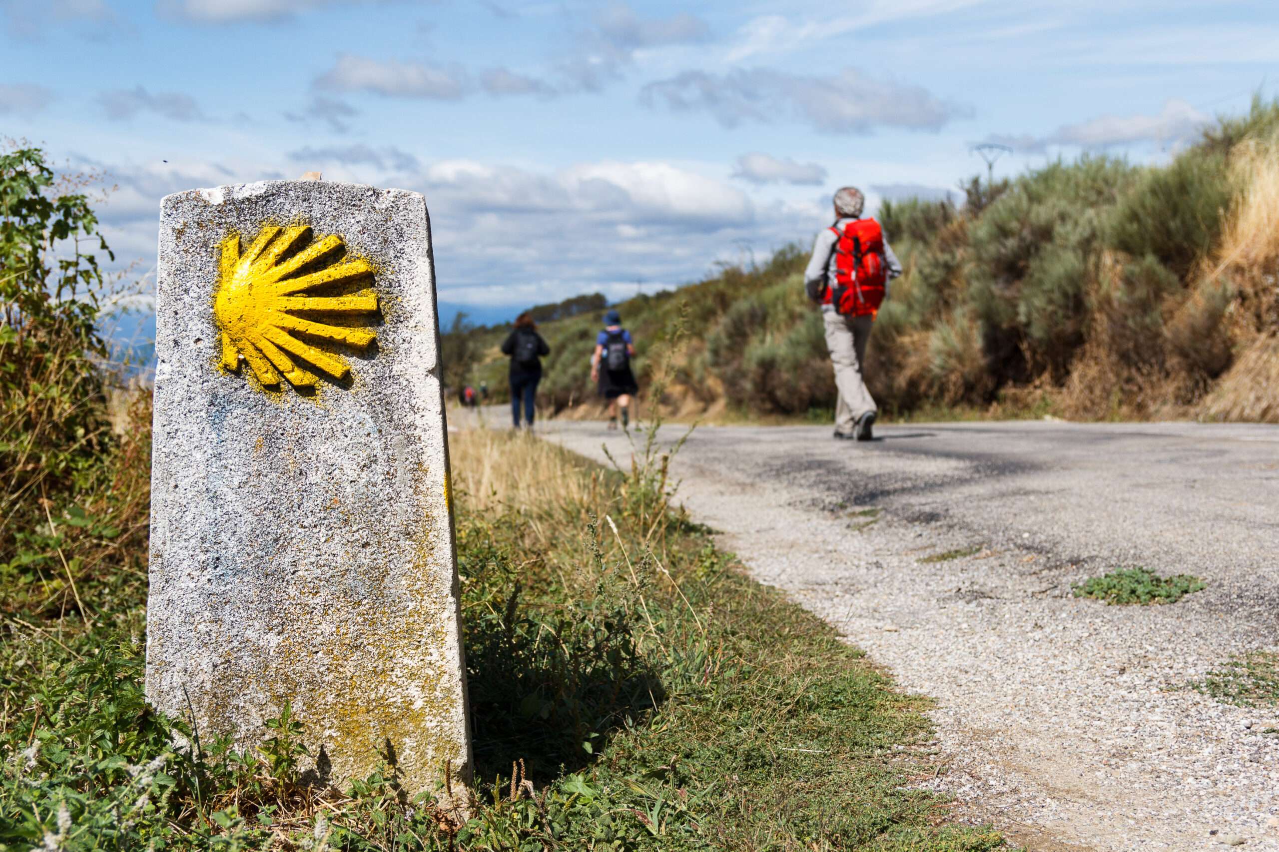 The yellow scallop shell signing the way to santiago de composte