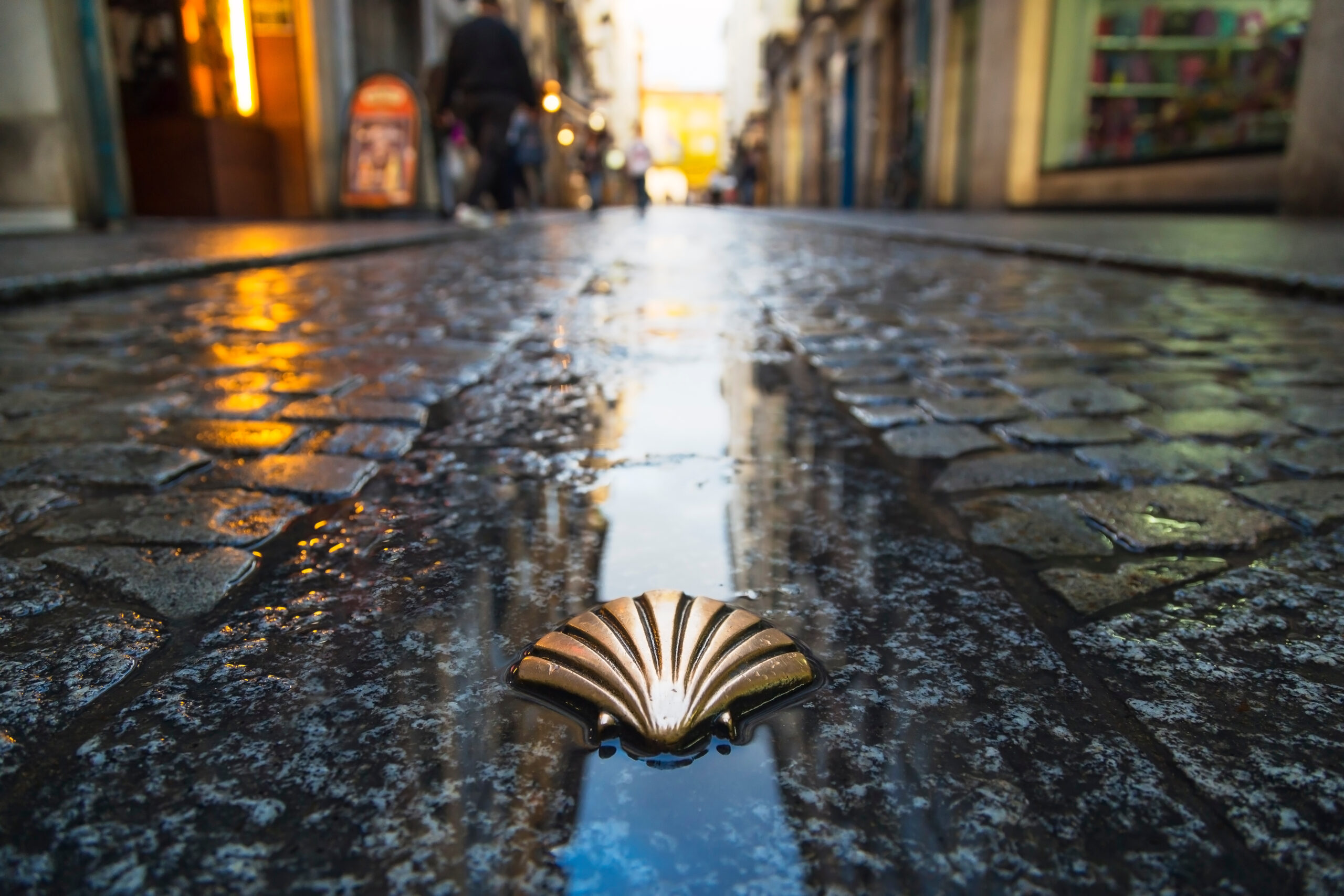 Symbol of the camino de santiago